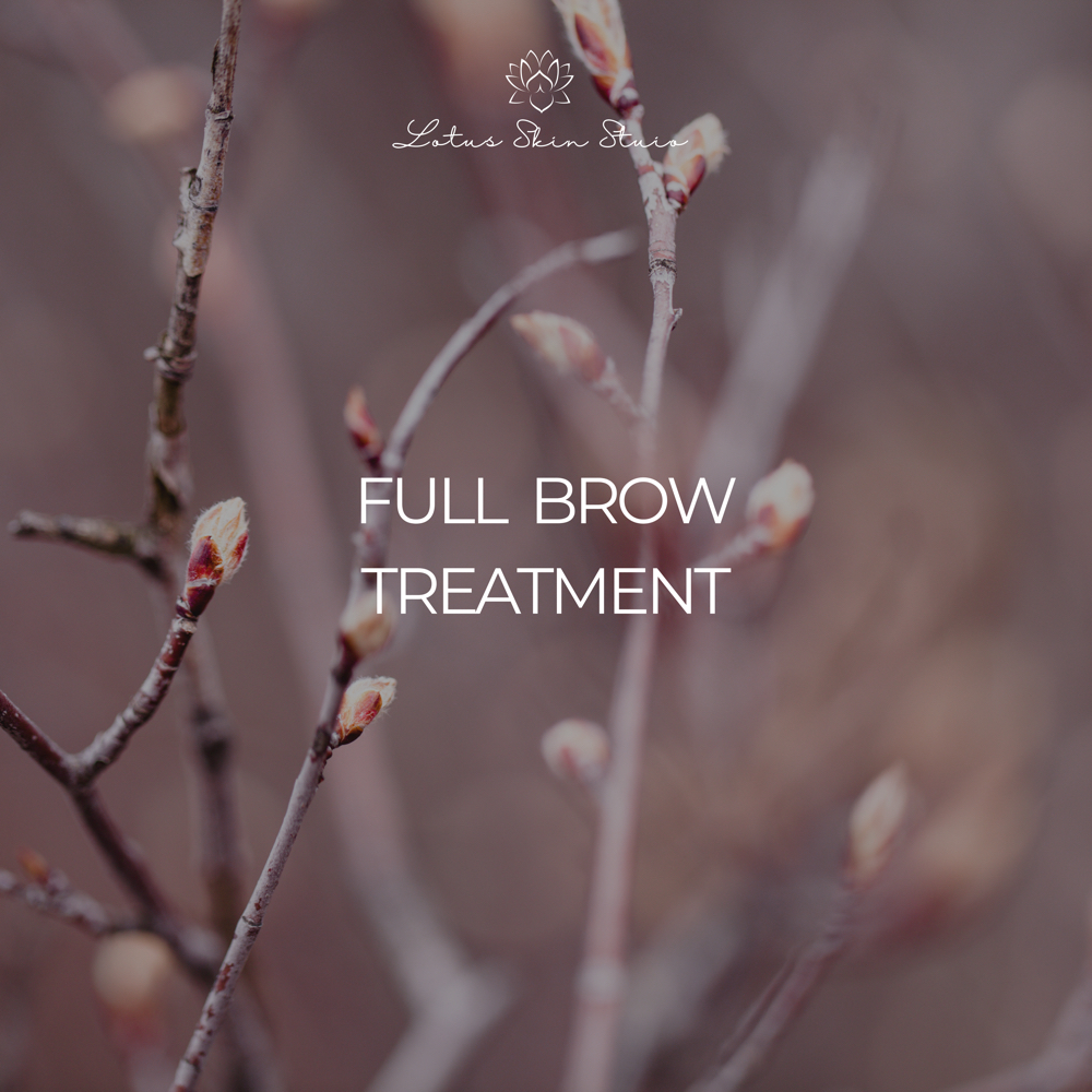 Full Brow Treatment at Lotus Skin Studio in Sumterville, FL