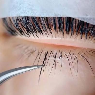 Bottom Lash Application