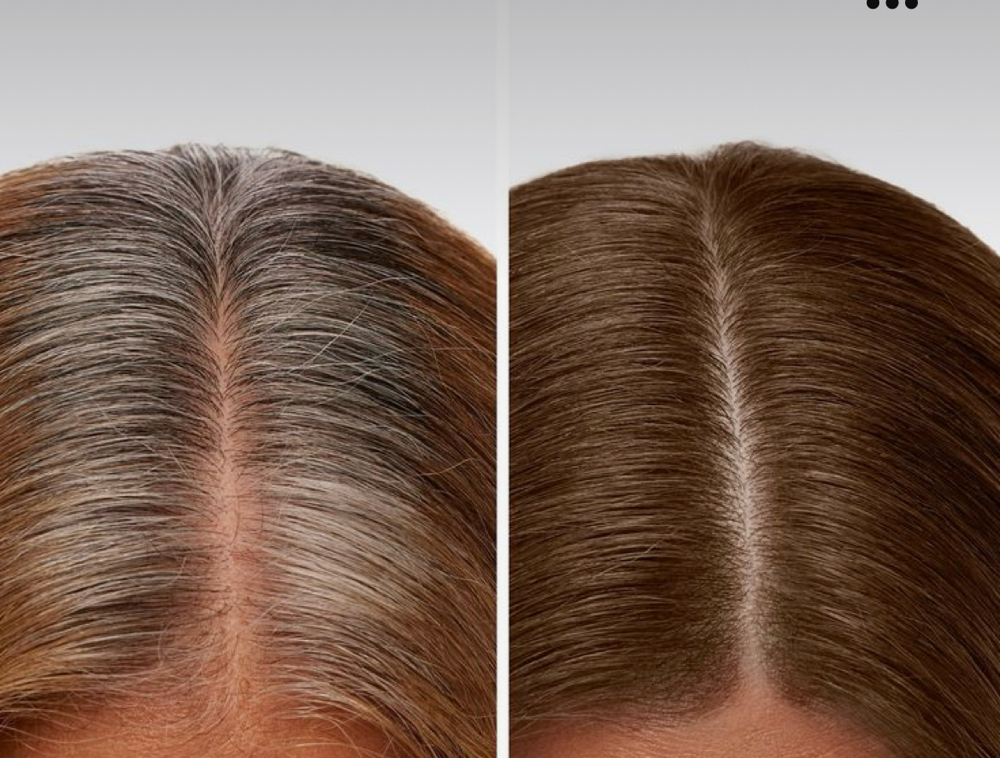 Gray Coverage Root Touchup at Erin Jordan in Mount Vernon, AL