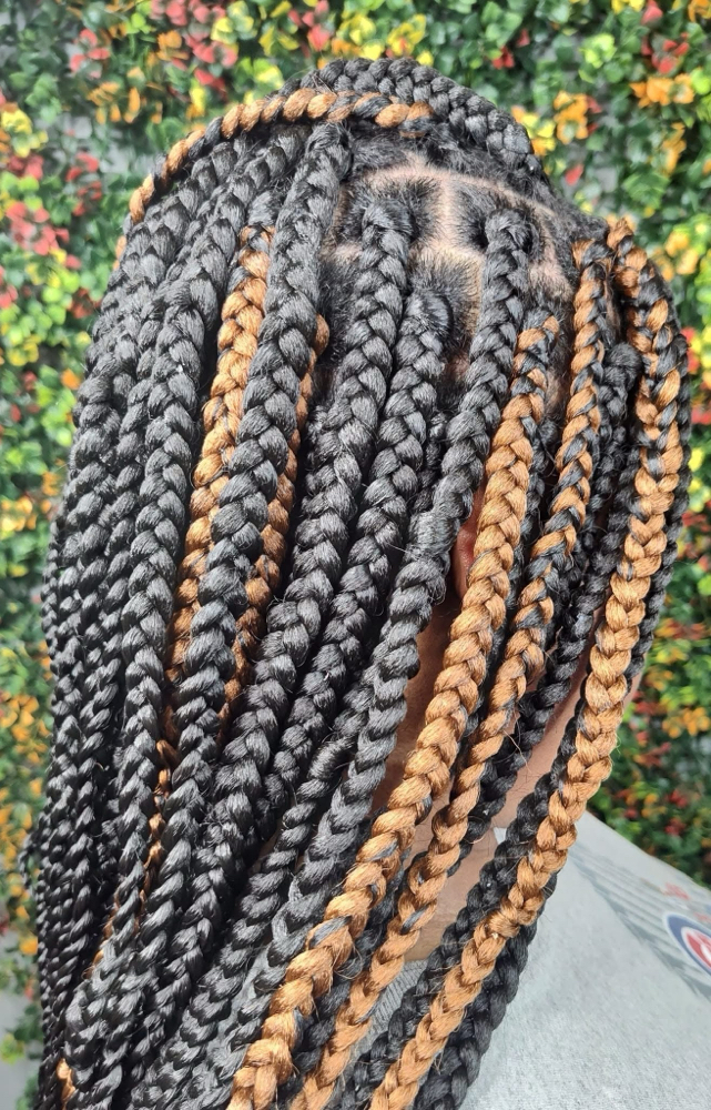 Box Braids
