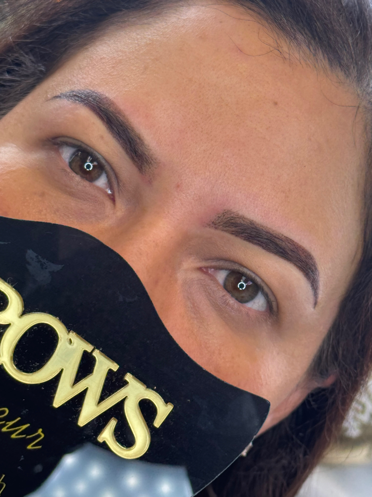 Brow Touch-Up (2–4 Months)