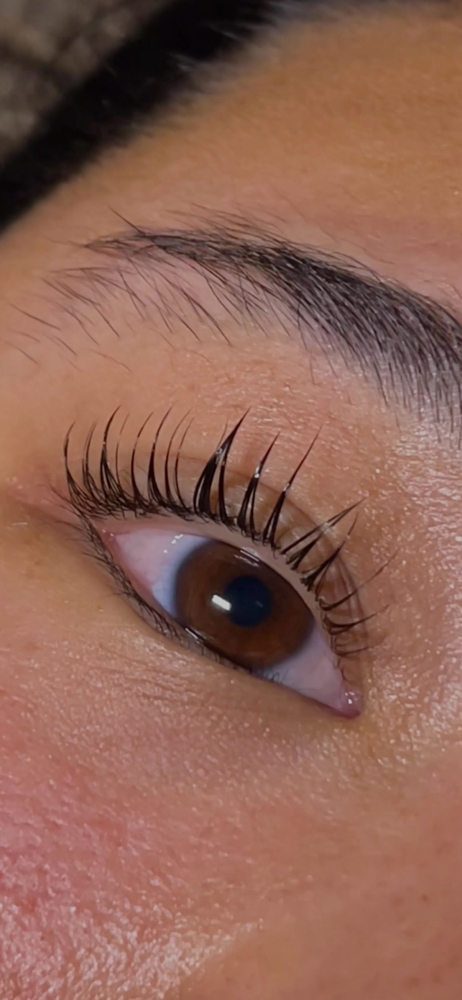 Lash Lift