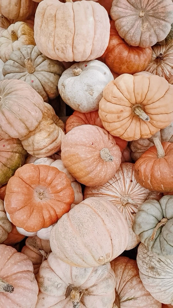 Pumkin Glow Facial (October Promo)