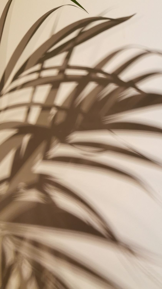 Partial Foil