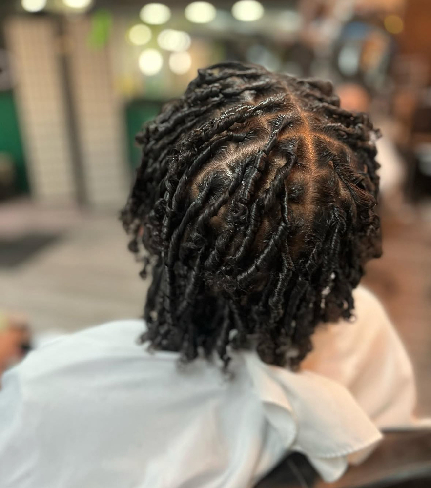 Starter Locs