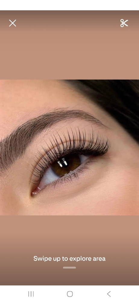 Classic Lash Full Set
