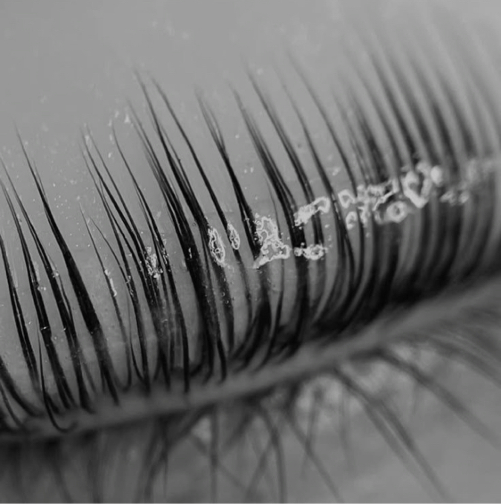 Lash Lift & Tint at The Hummingbird in Thief River Falls, MN