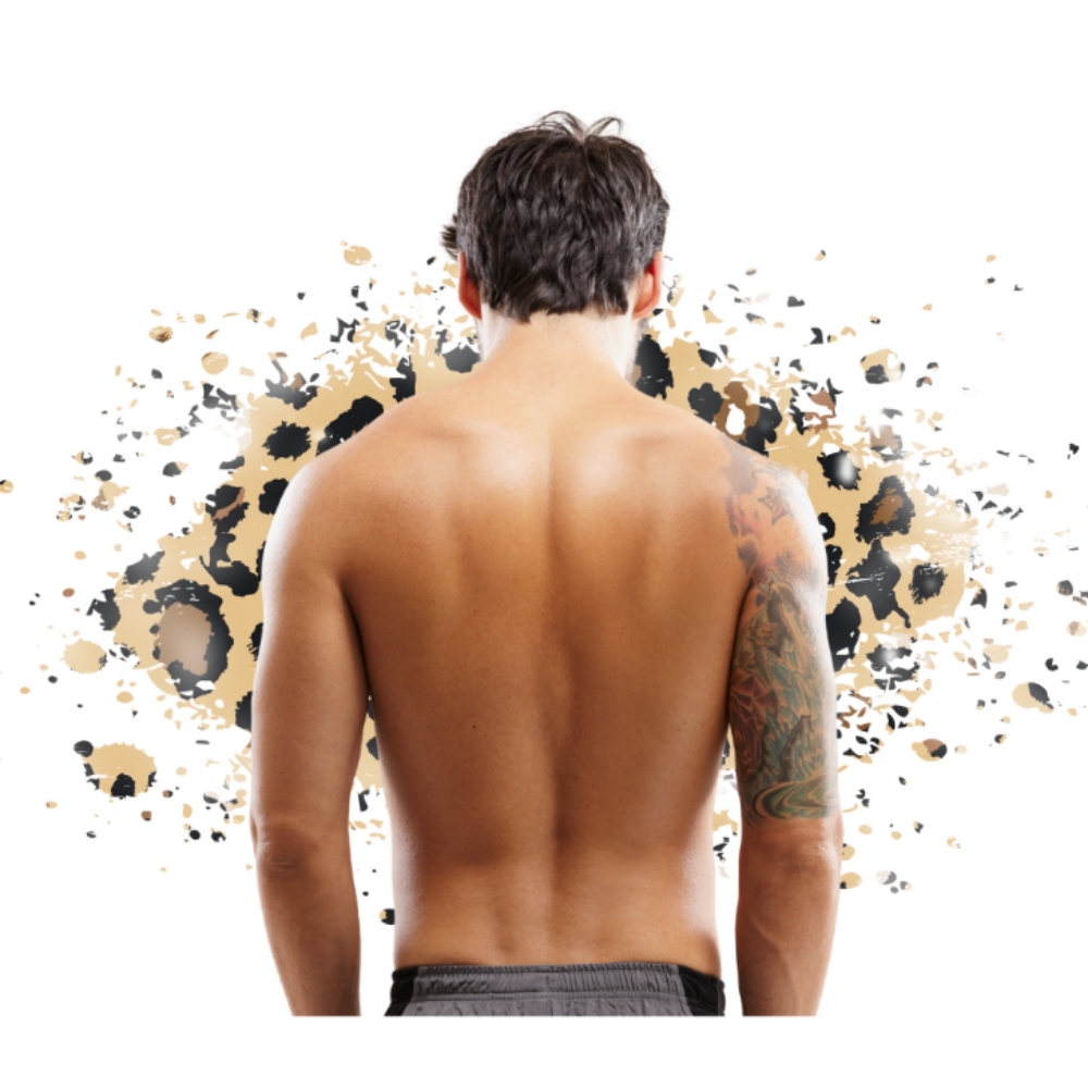 Back Partial at Pink Collar Wax in Worcester Massachusetts, MA