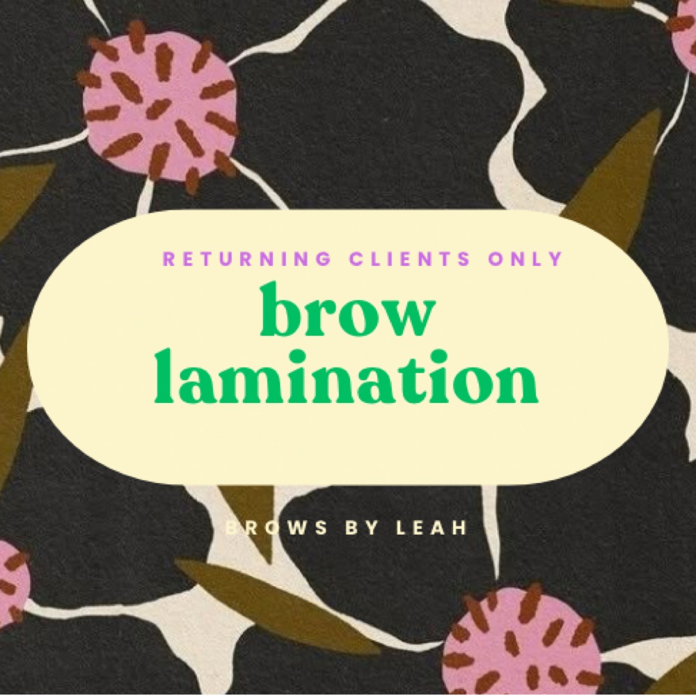Returning Client Brow Lamination at Brows by Leah in Millbury, MA
