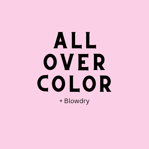 All Over Color + Blowdry