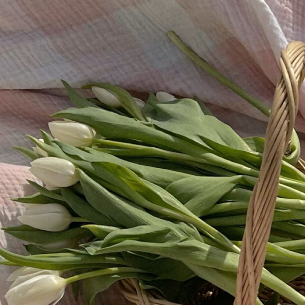 The Spring Ritual at RF Esthetics in Albemarle, NC