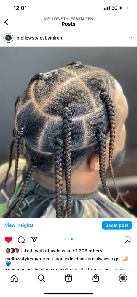 Large Individual Braid/Twist - Full