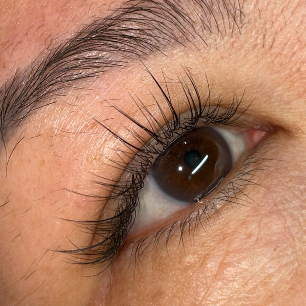 Classic 2 Week Lash Fill ( Sandy )