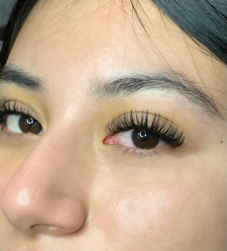 Wet Lash Full Set