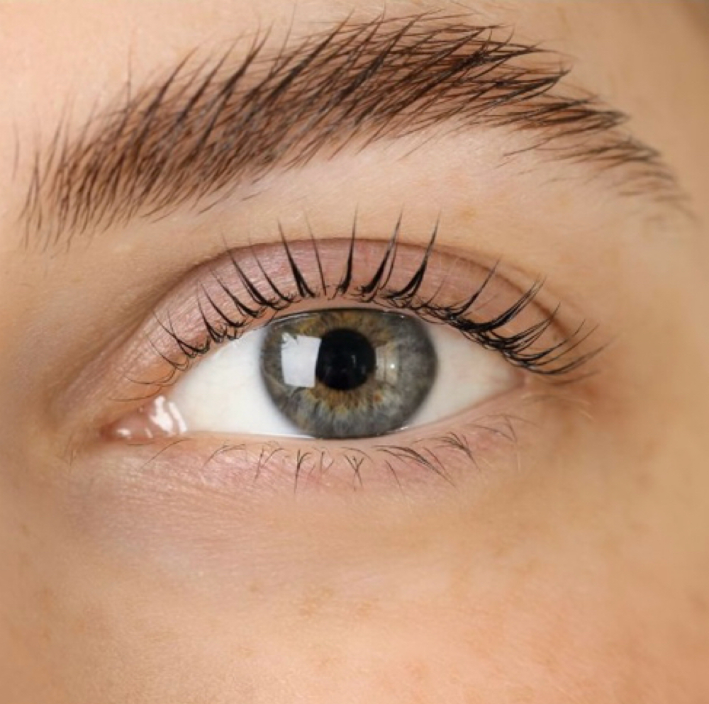 Bloom Brow And Lash Reset at BLOOM SIGNATURE AESTHETICS LLC in Canoga Park, CA