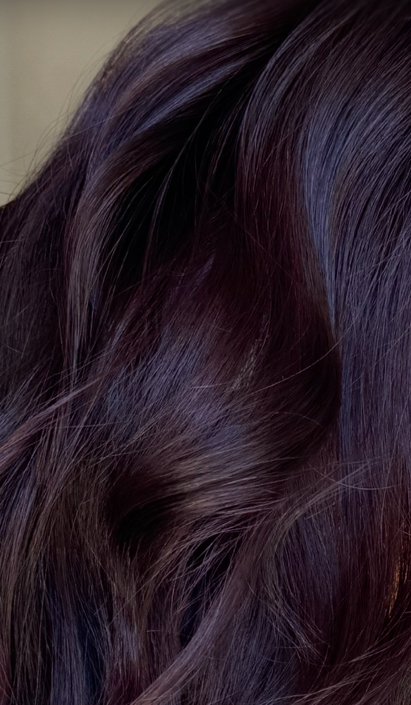 Full Color at The Luxe Brunette Studio in Riverview, FL