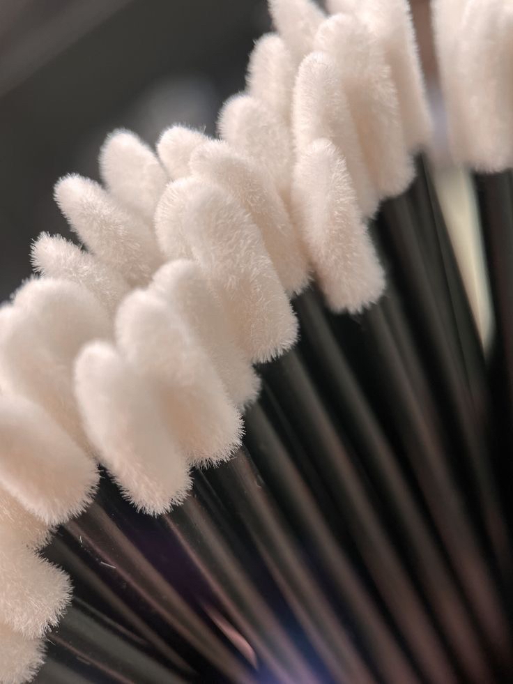 Lash Extensions Removal