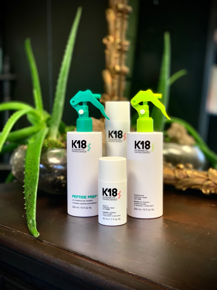 K18 Treatment With Haircut