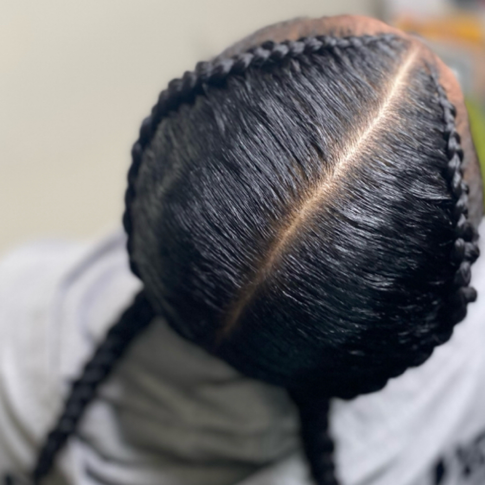 Two Braids (Natural NO HAIR ADDED) at Vaehdoeshair in Reading, PA