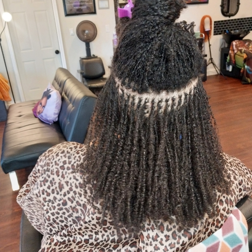 Micro Loc Retightening / Shampoo at Heavenly Creationz @The Ivory Coast in Gallatin, TN