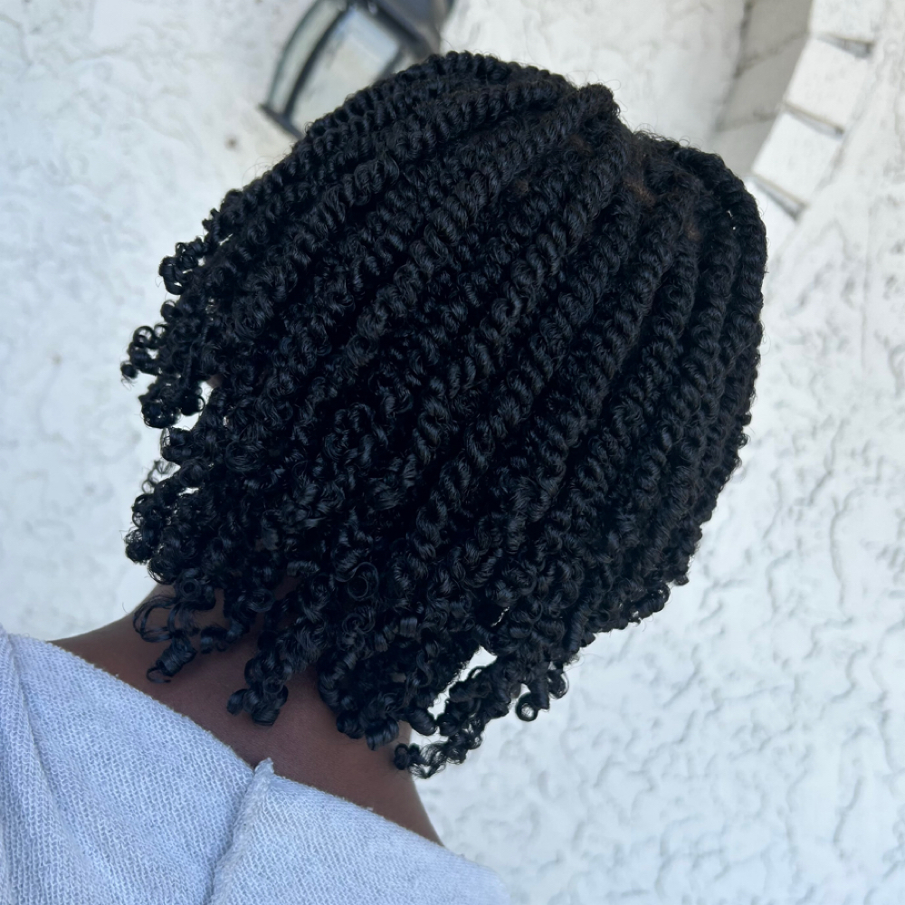 Two Strand Twists at Eden Holistic Hair in Hendersonville, TN