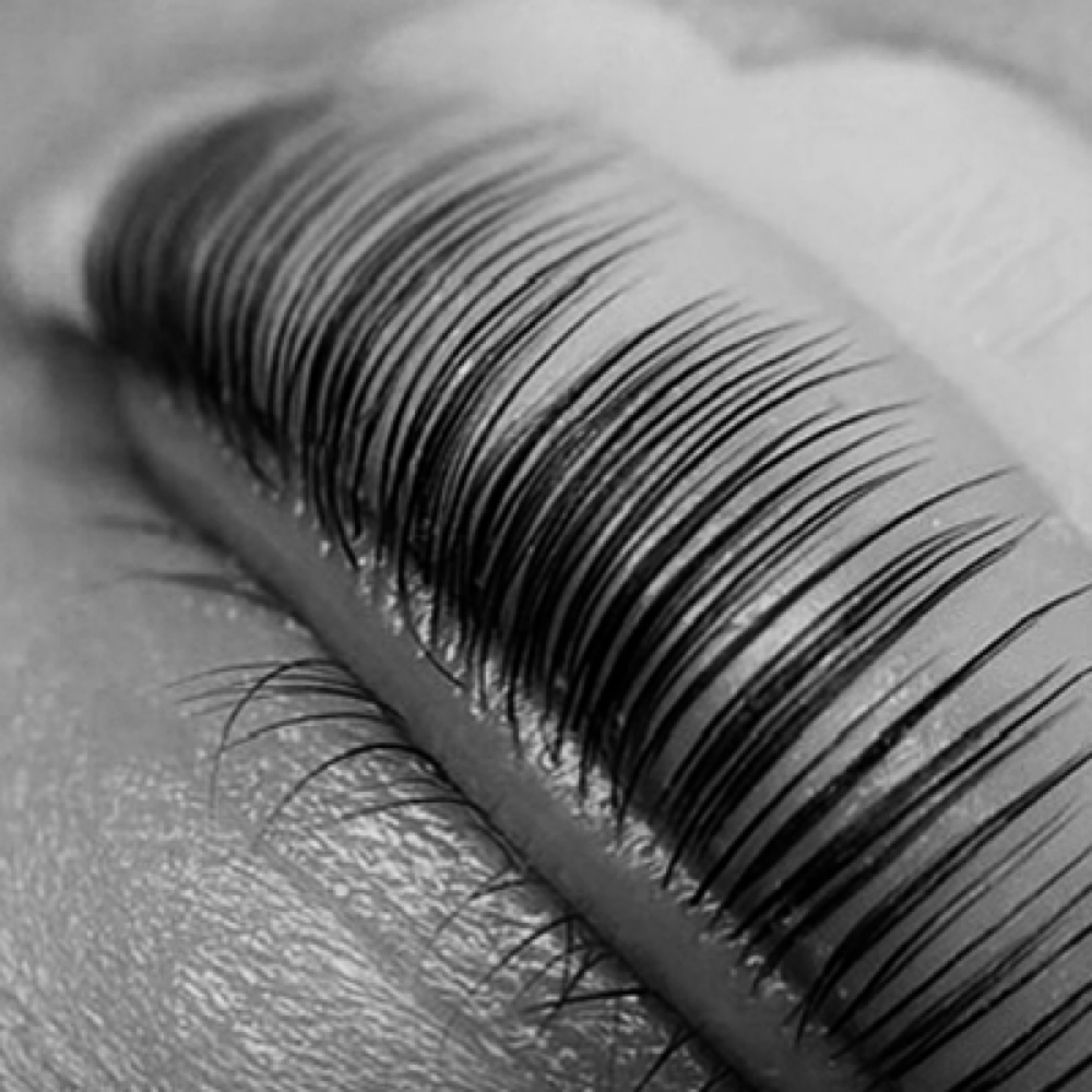 Lash Lift & Tint at VMT Beauty Bar in Pottstown is, PA