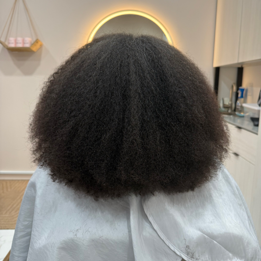 ❀ Stretched Hair Finish (Blow dry) at FRO Head Spa in Plano, TX