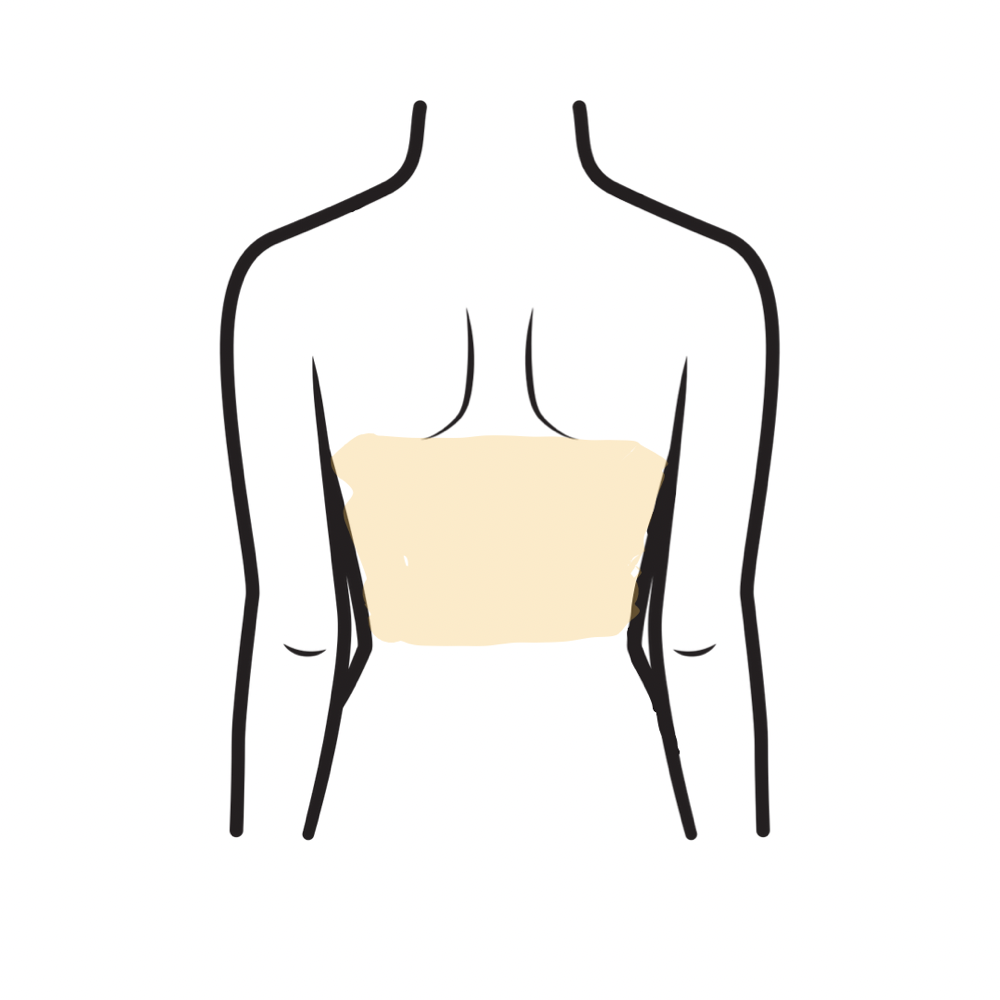 Mid Back