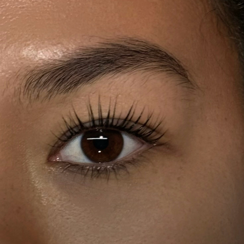 Korean Lash Lift at Divine Line Esthetics in Escondido, CA
