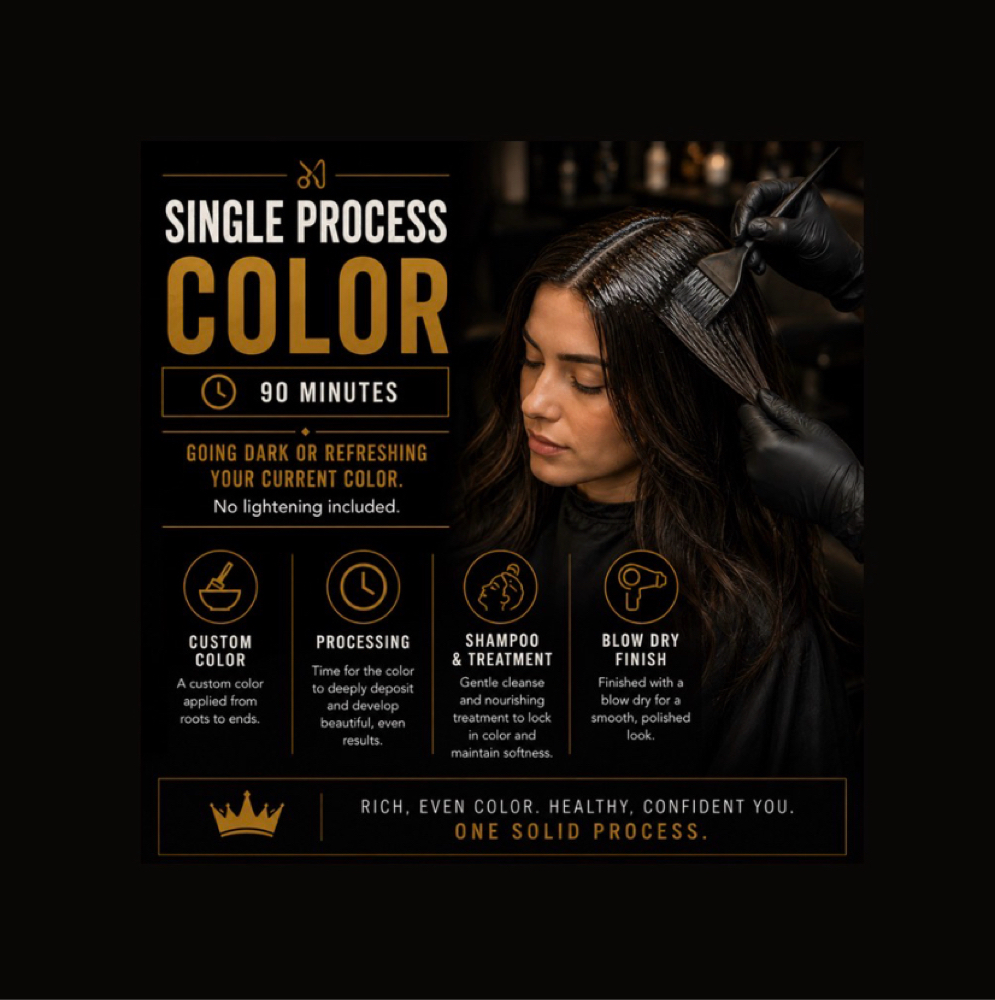 Single Process Color at Artisan Salon & Barber Studio in Lake Mary, FL