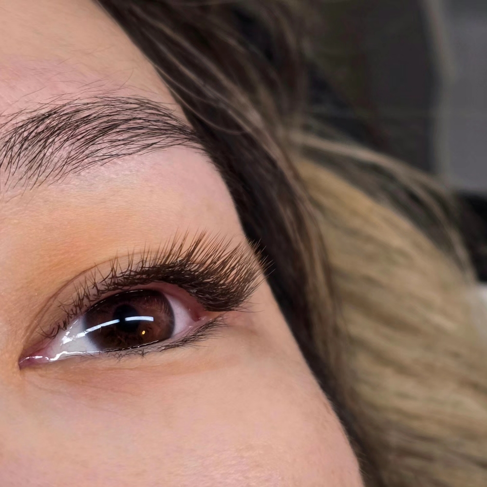 FAIRY REFILL (2-3 weeks)