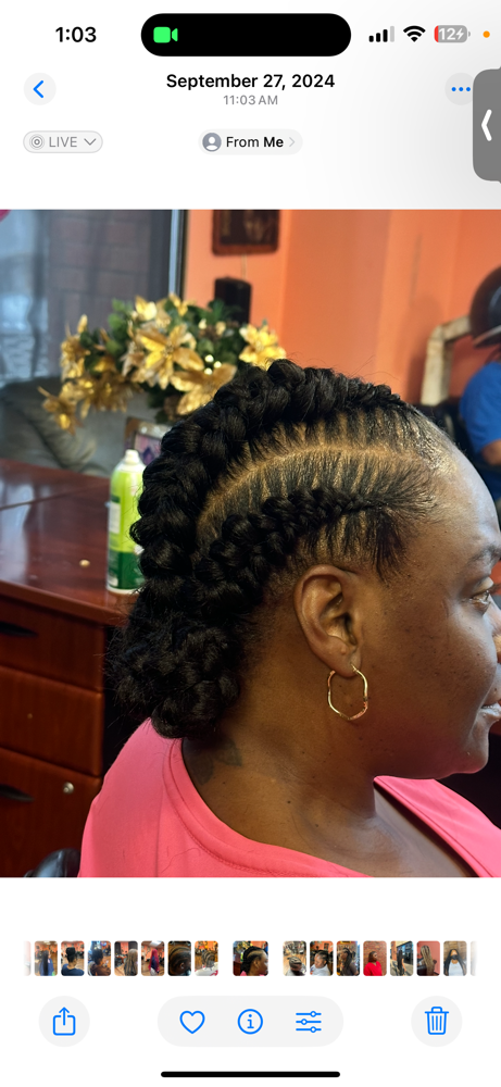 Butterfly Braids
