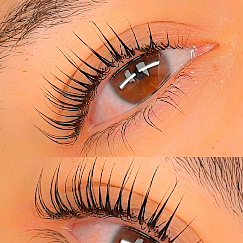 KOREAN LASH LIFT MODEL at Honey Lux Lashes in Temple, TX