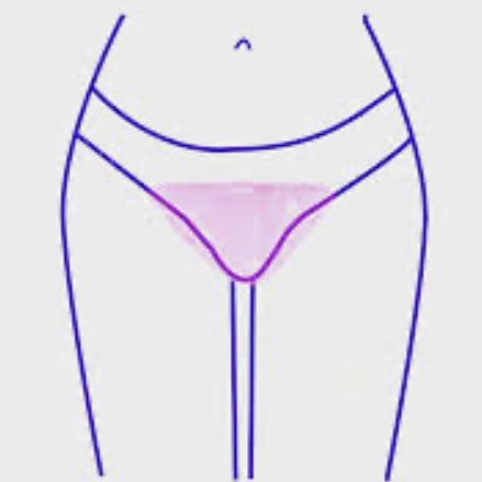 Bikini Wax (V)