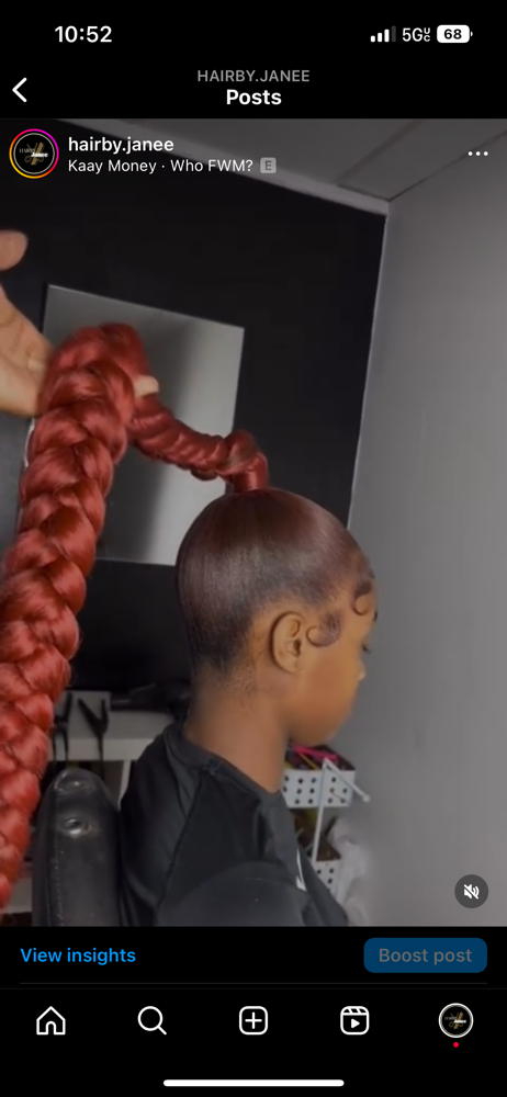 Braided Ponytail