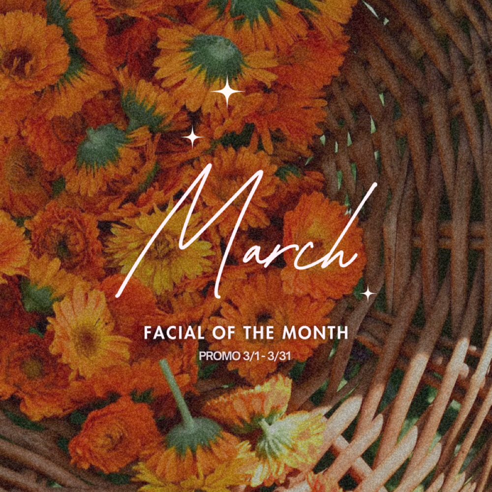 March Facial at Cactus Lash & Skin Studio in Phoenix, AZ