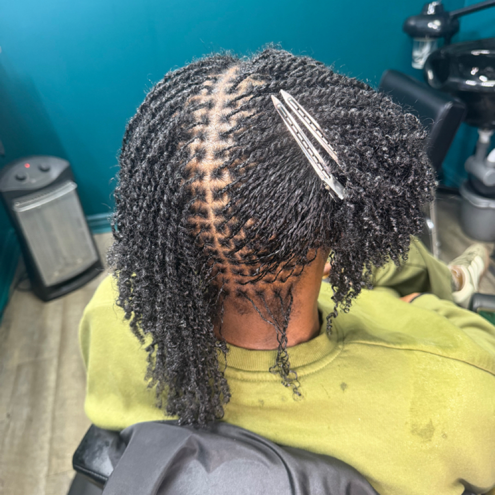 Starter Locs - Microlocs at Studio Eman LLC by Paige Eman in Roseville, MI