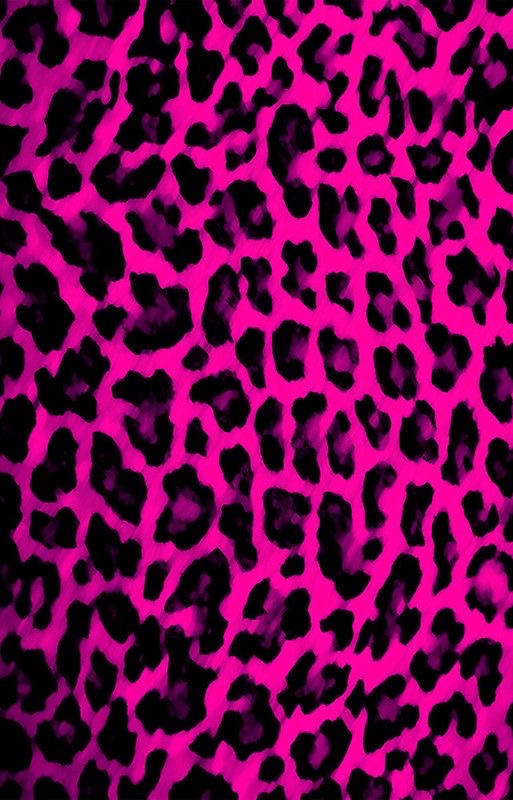 Gloss