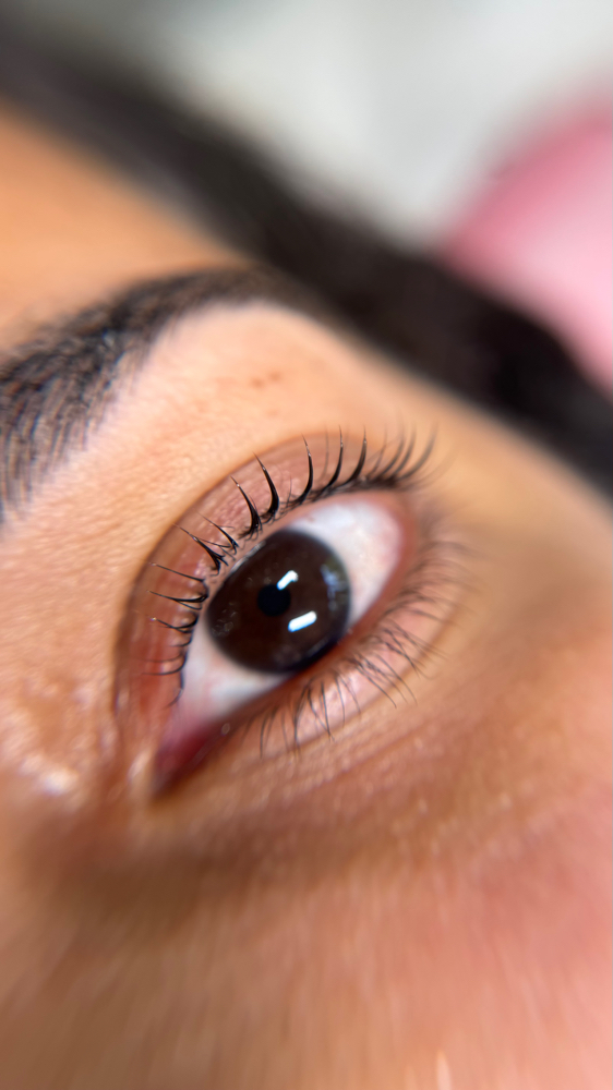 Korean Lash Lift And Tint