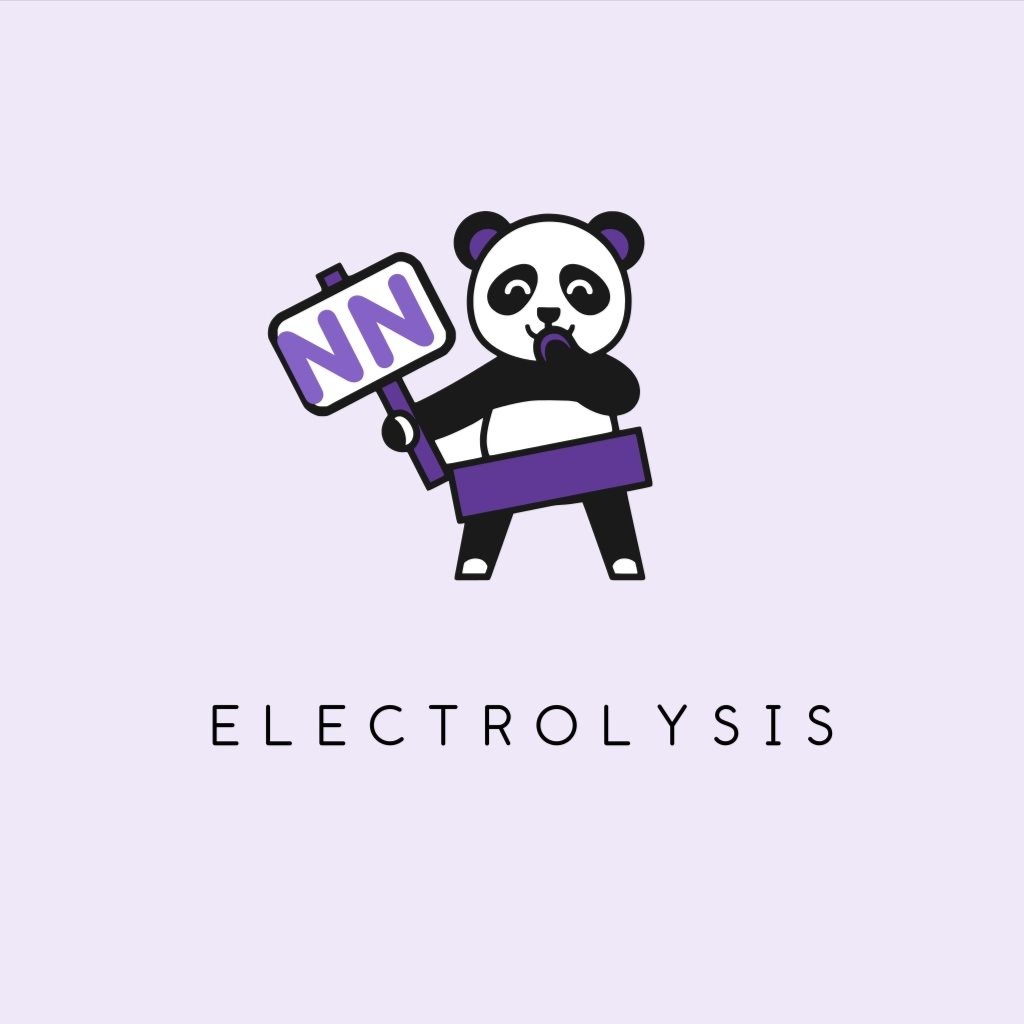 Special 30 minutes Electrolysis at Naked by Noe Electrolysis in Centennial, CO