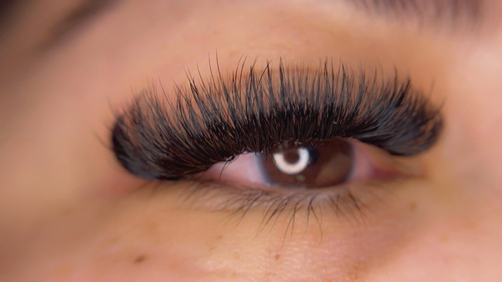 2 Week Volume Fill at Flutterbrush Beauty Bar in Sparks, NV