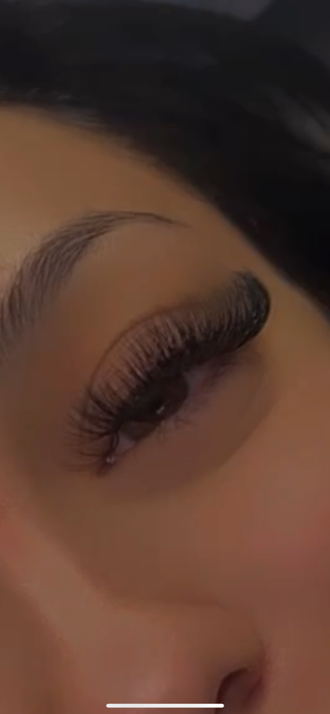 Light Volume