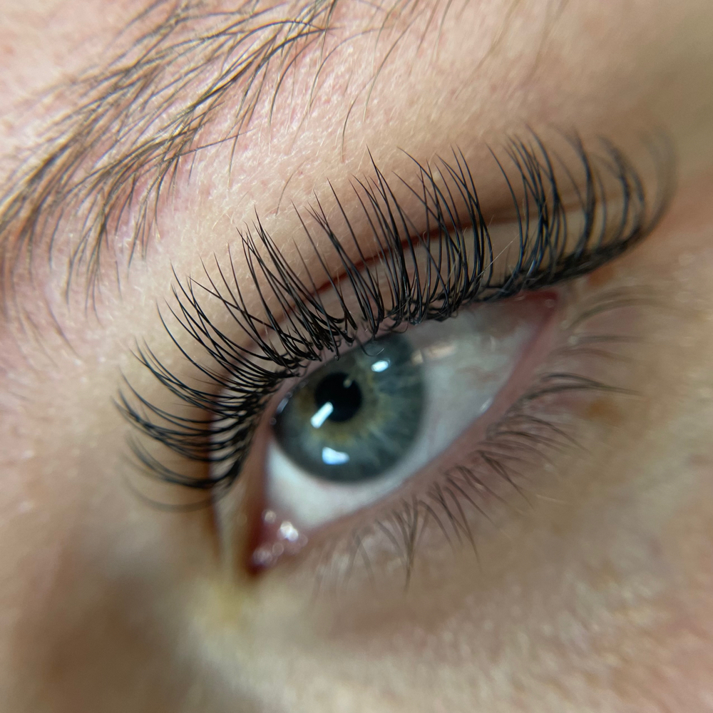 Classic Lashes