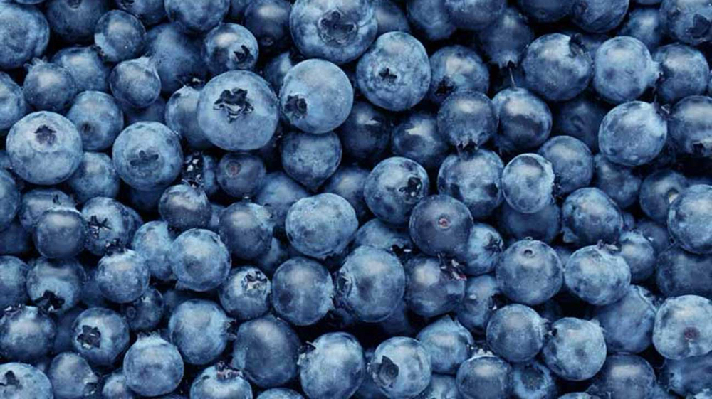Blueberry Facial