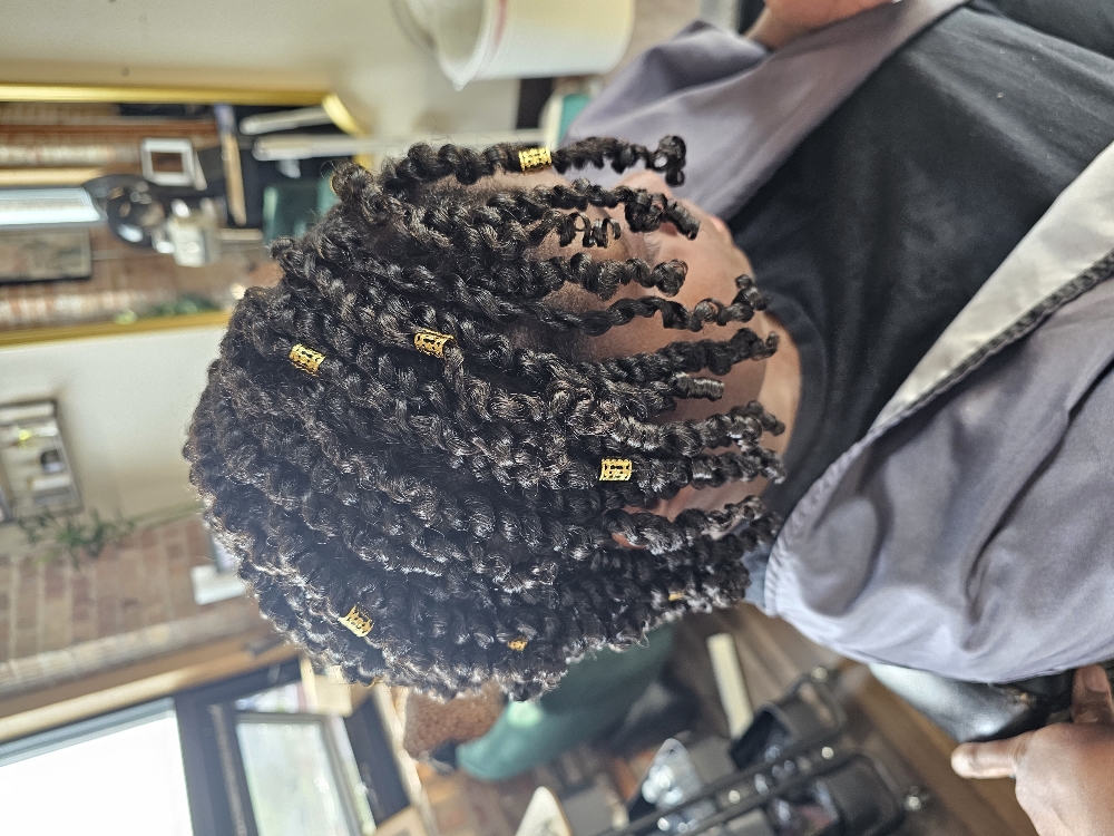 Premium Twists