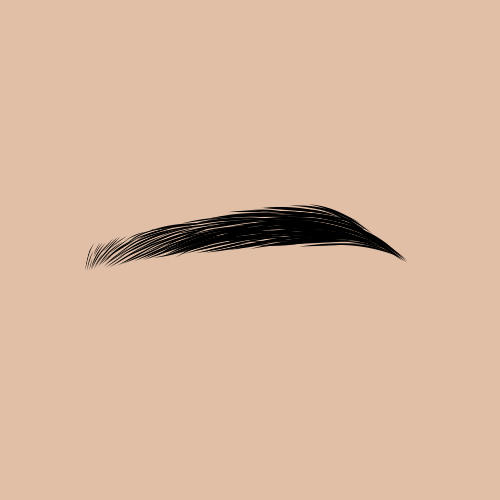 Brow Wax And Tint