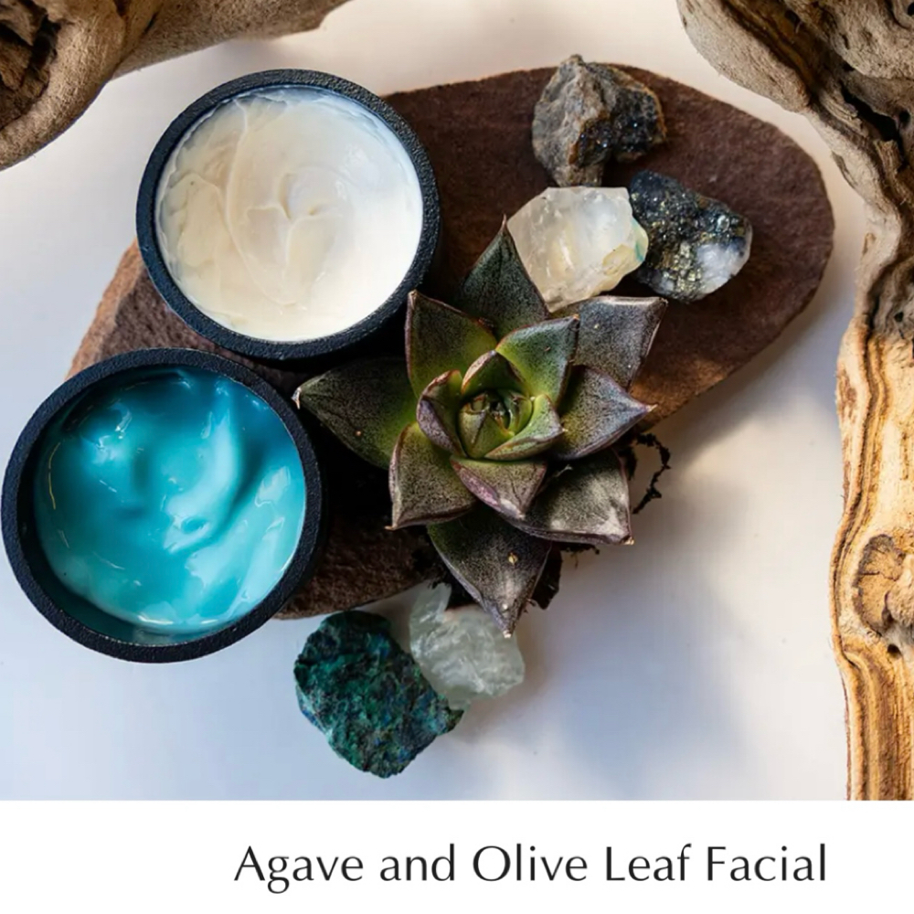 Agave & Olive Leaf Facial at K.Maher Esthetics in Wakefield, MA