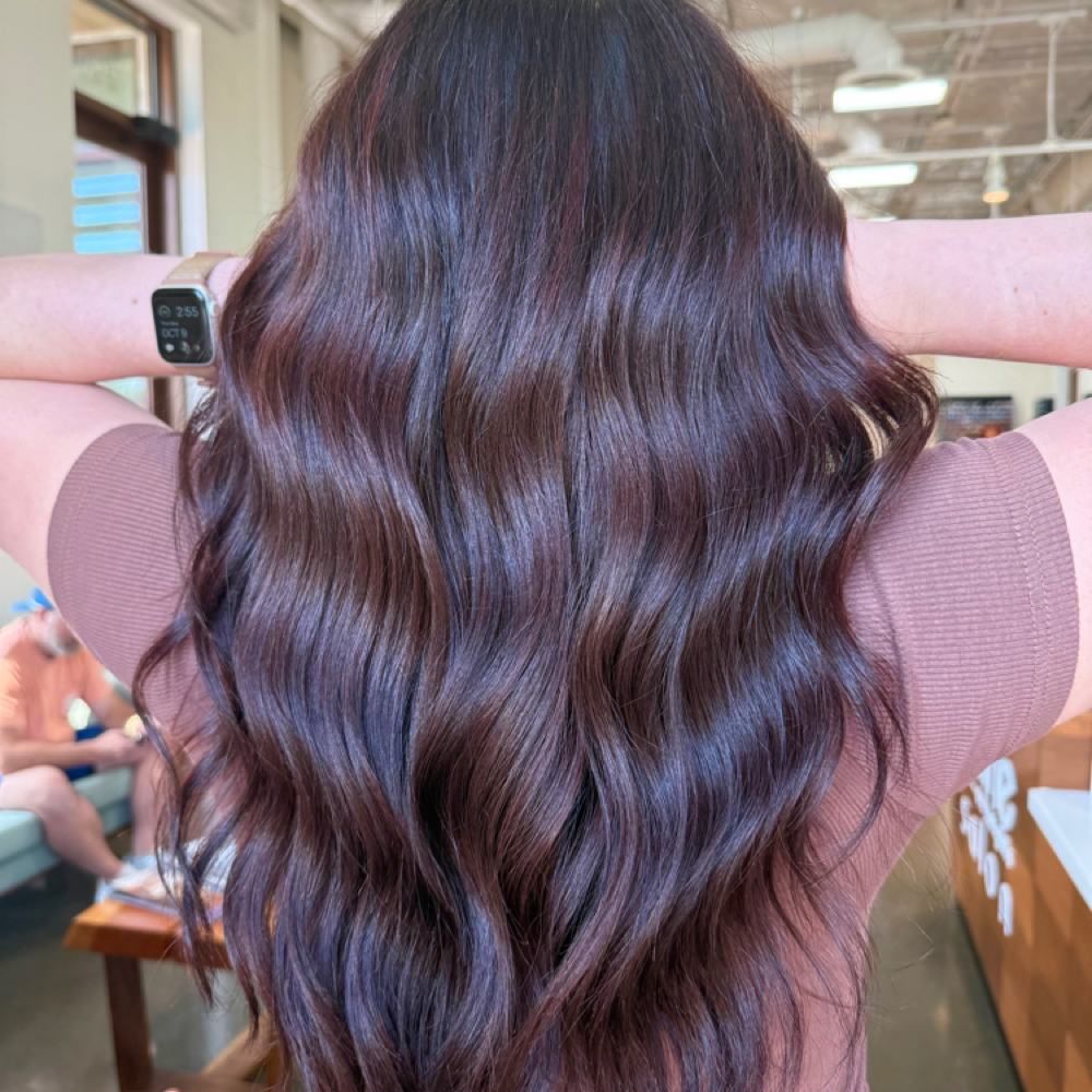 Partial Blonding + Gloss at HAIRBYBUDD in Houston, TX