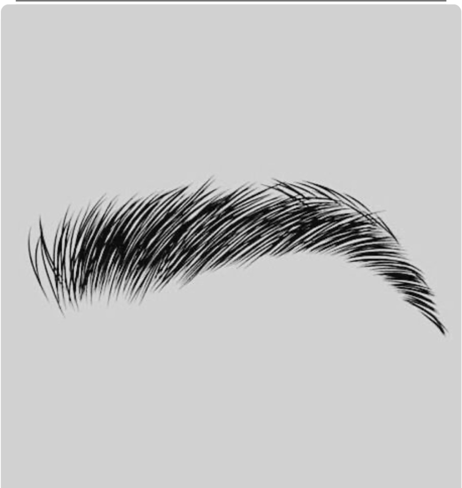 Eyebrow Wax & Shaping