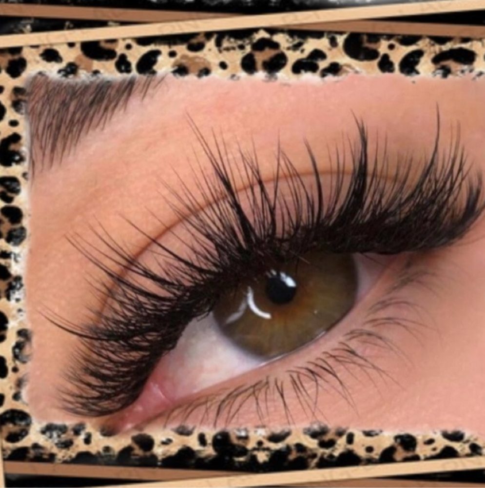 Individual Lashes Hybrid at The Dollhouse Society in Chattanooga, TN